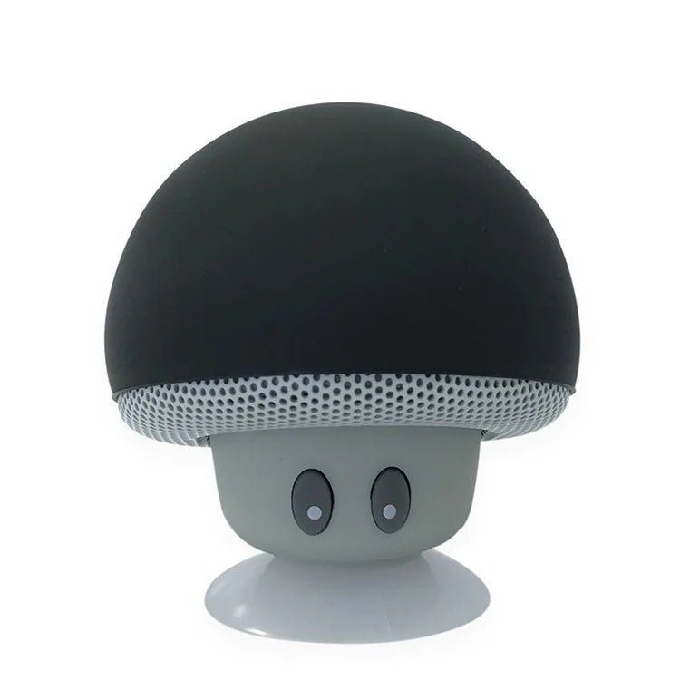 Enceinte Bluetooth sans fil - Euroshomédia